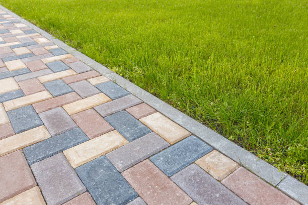 Best Driveway Paving Contractor  in Yerington, NV